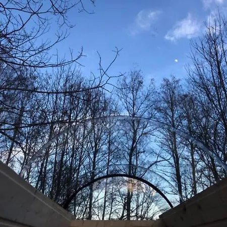 Niiralan Tila : Starlite * Laitila