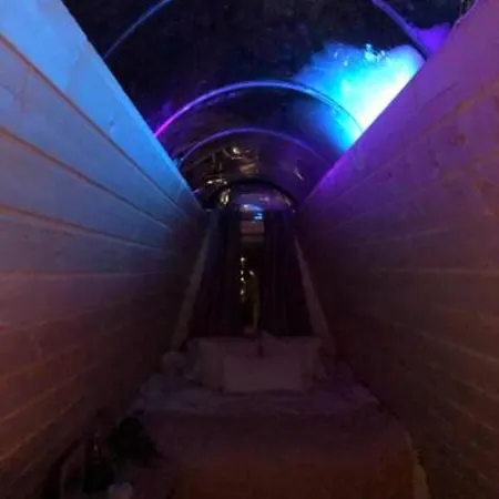 Farma Niiralan Tila : Starlite