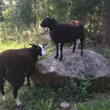 Farm stay Niiralan Tila : Starlite *