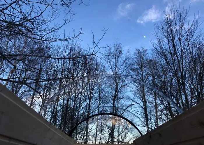 Niiralan Tila : Starlite * Laitila