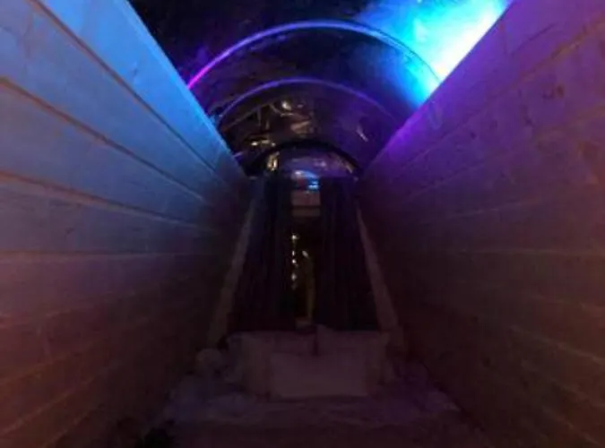 Gospodarstwo agroturystyczne Niiralan Tila : Starlite