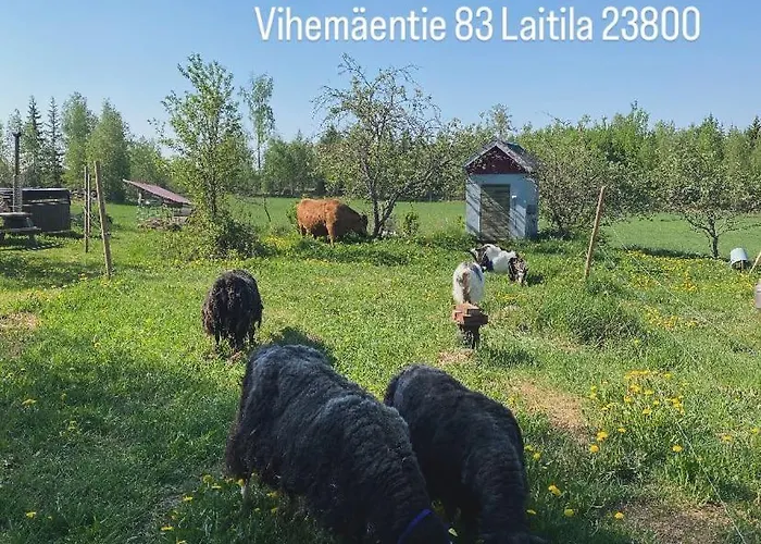 Niiralan Tila : Starlite *